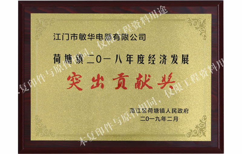 2018年度經(jīng)濟發(fā)展突然貢獻獎