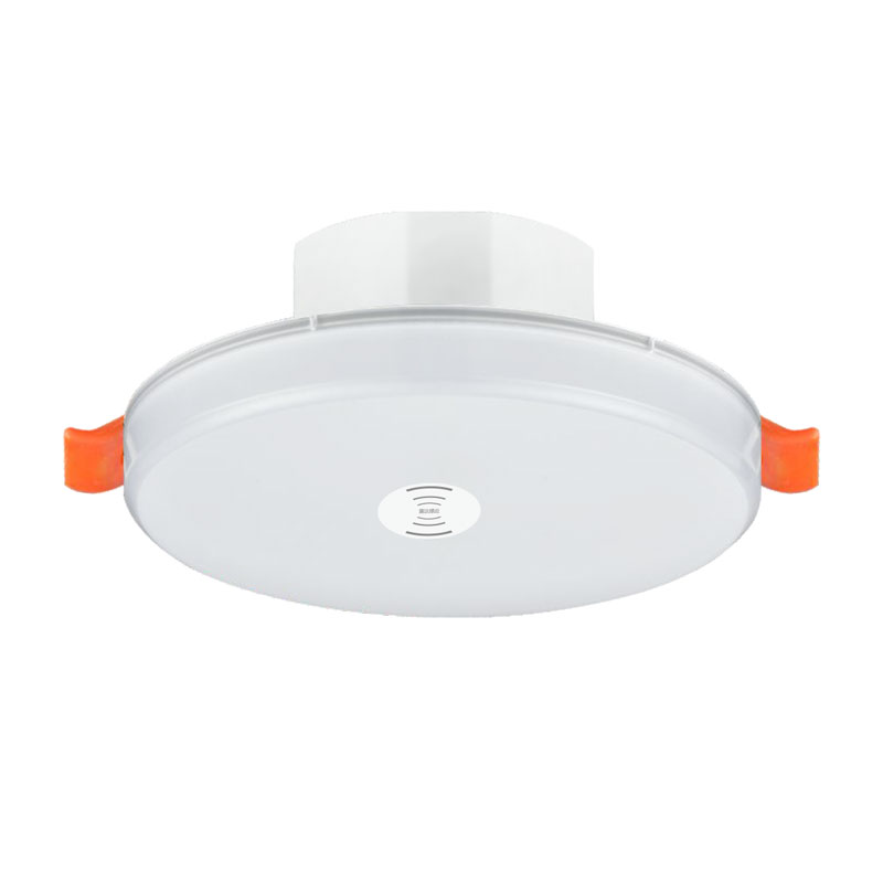 6寸磨砂無邊框筒燈（微波感應(yīng)）